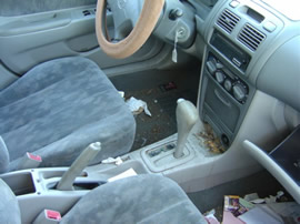 1998 TOYOTA  COROLLA  4CYL. AUTOMATIC stk# Z09051