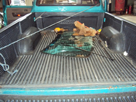 1998 TOYOTA TACOMA DELUXE MODEL SR5 XTRA CAB 2.7L (COIL STYLE) MT 4X4 WITH REAR DIFF LOCK COLOR TEAL GREEN STK Z12351