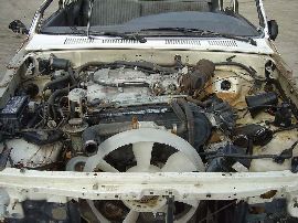 Toyota Truck and SUV