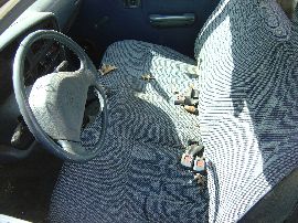 Toyota Truck and SUV