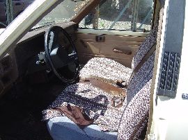 Toyota Truck and SUV