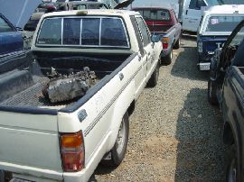 Toyota Truck and SUV