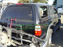 Toyota Truck and SUV